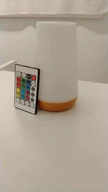 13 Color Changing Night Light Remote Control