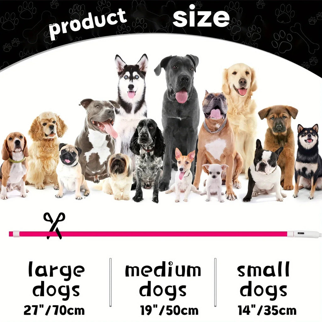 USB Rechargeable Collar Pet Dog LED Light